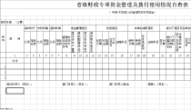 excel省级财政专项资金管理及拨付使用情况自查表模板