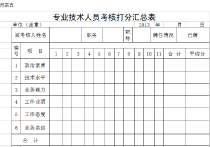 2012年度工程类中初级打分汇总表excel模板