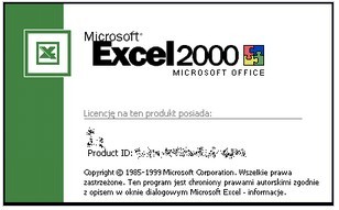 excel 2000