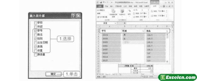 Excel 2010中的切片器功能