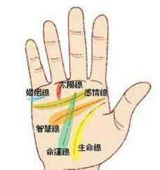 手掌纹路图解