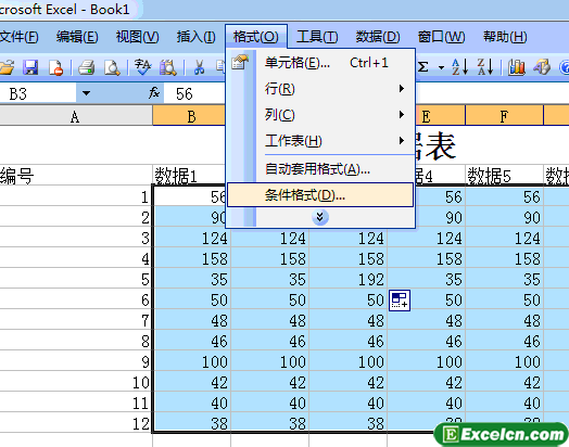 设置Excel2003条件格式