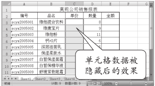 隐藏Excel2007单元格中的内容