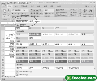  Excel2007样式