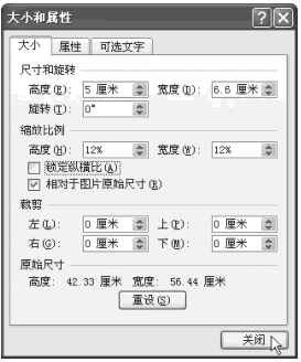 Excel2007图片大小和属性对话框