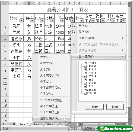 Excel2007的自定义筛选