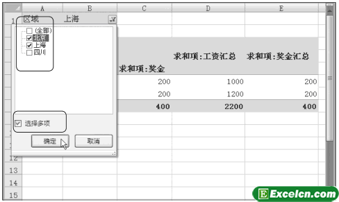 Excel2007数据透视表