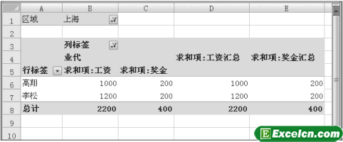 查看Excel数据透视表