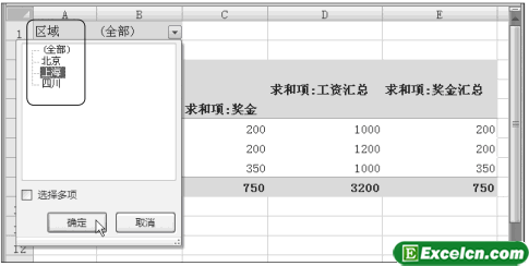 Excel查看数据透视表