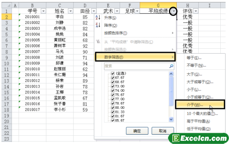 Excel 的数据筛选功能