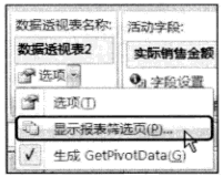 显示Excel报表选页