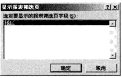 显示Excel报表筛选页