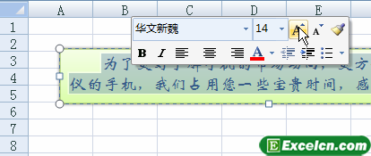 设置excel文本框文字格式