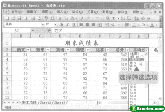 自定义excel筛选功能