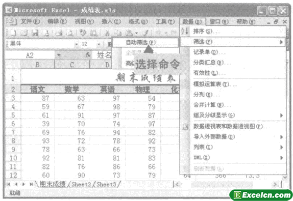 excel自动筛选操作