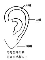 男人耳朵看相图解