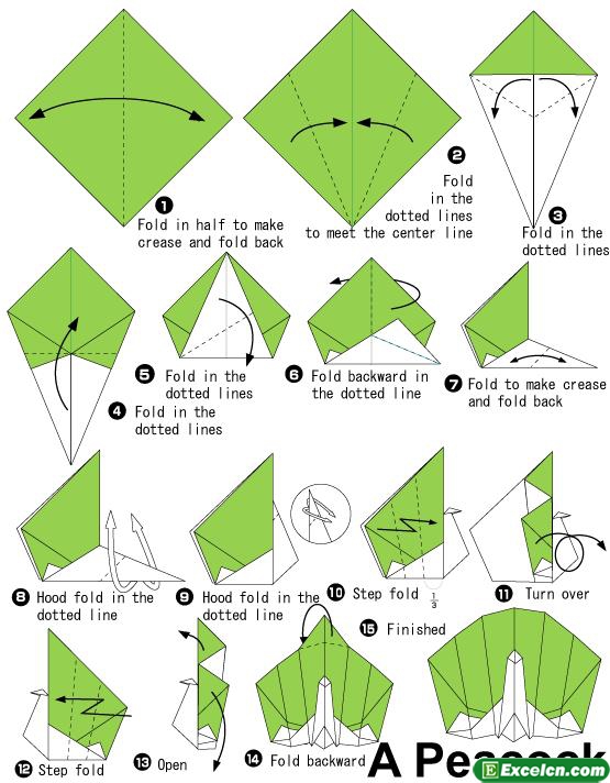 孔雀的折法图解