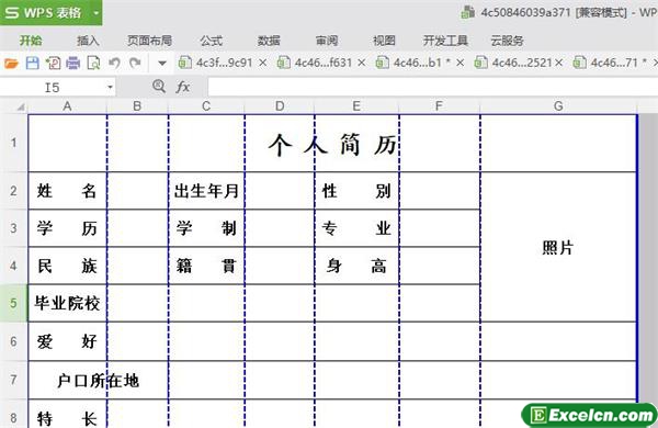 excel个人简历表格版模板