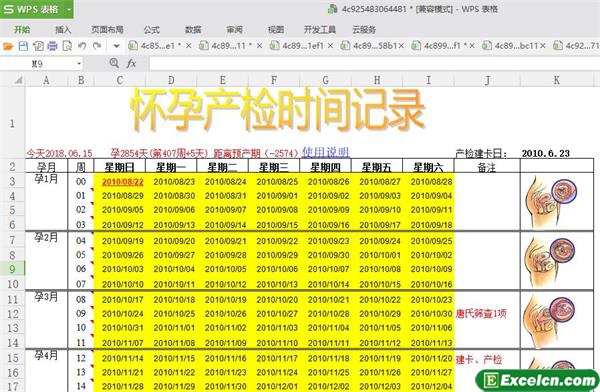 excel怀孕产检时间记录表模板