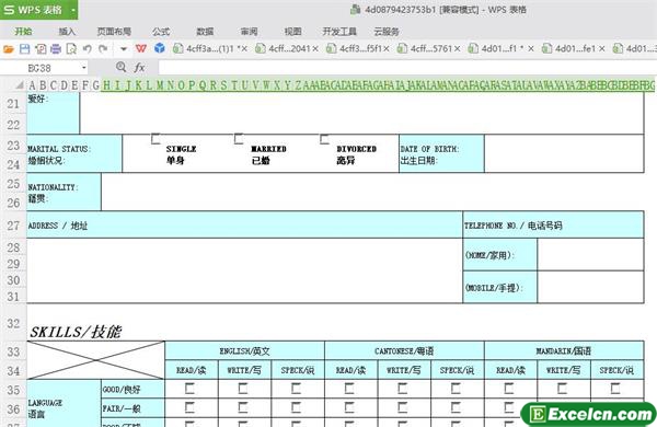 excel个人简历中英文对照模板