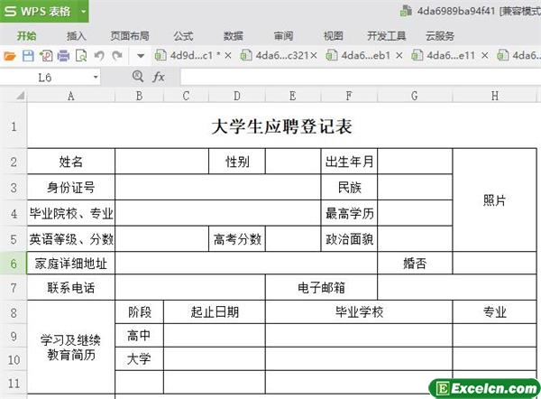 excel大学生应聘登记表模板
