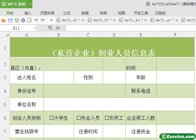 excel私营企业创业人员信息表模板