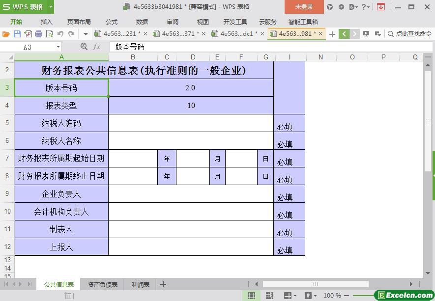 excel财务报表公共信息表模板