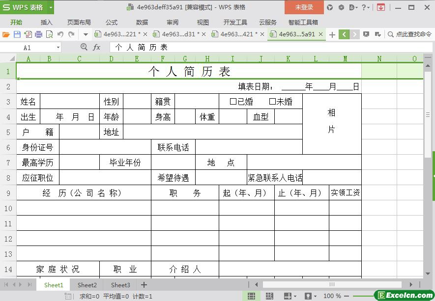 excel简洁通用型个人简历表模板