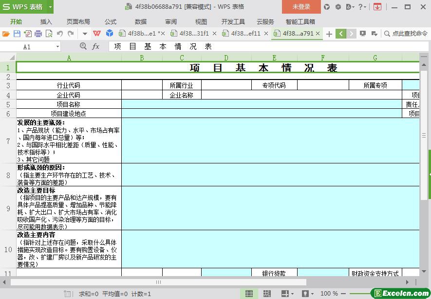 excel项目基本情况表模板