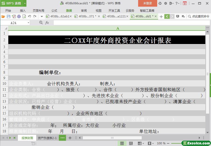 excel20XX年度外商投资企业会计报表模板