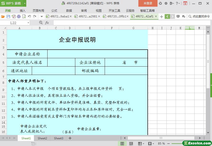 excel企业申报说明模板