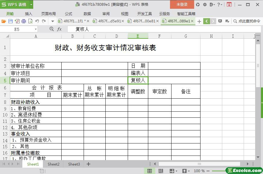 excel财政、财务收支审计情况审核表模板