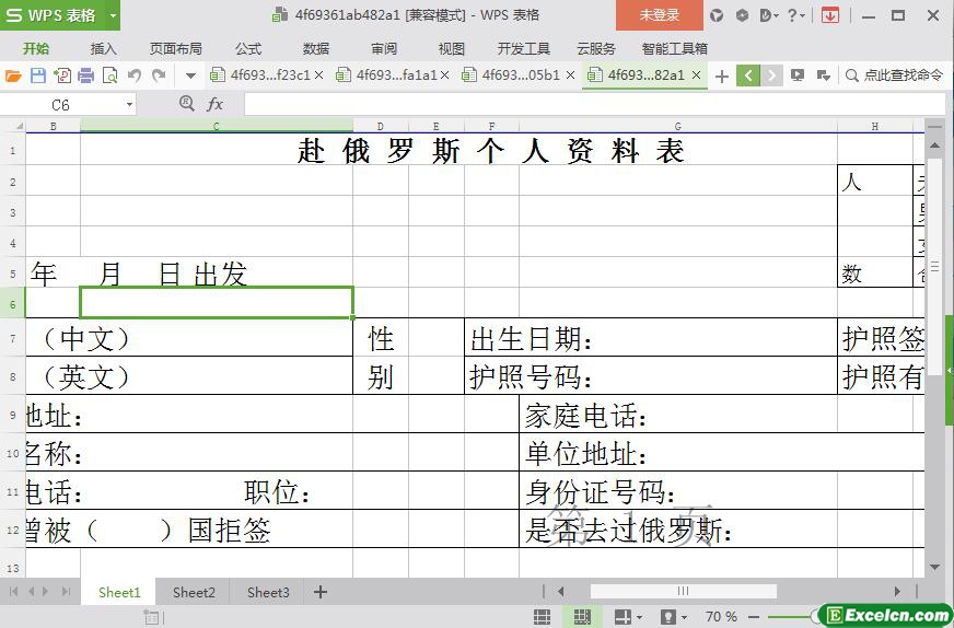 excel赴俄罗斯个人资料表模板