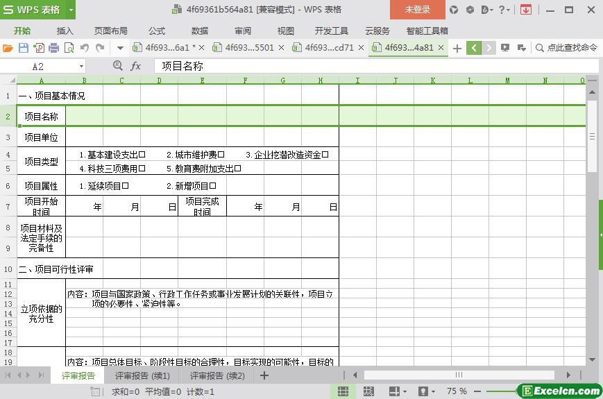 excel大型项目评审报告模板