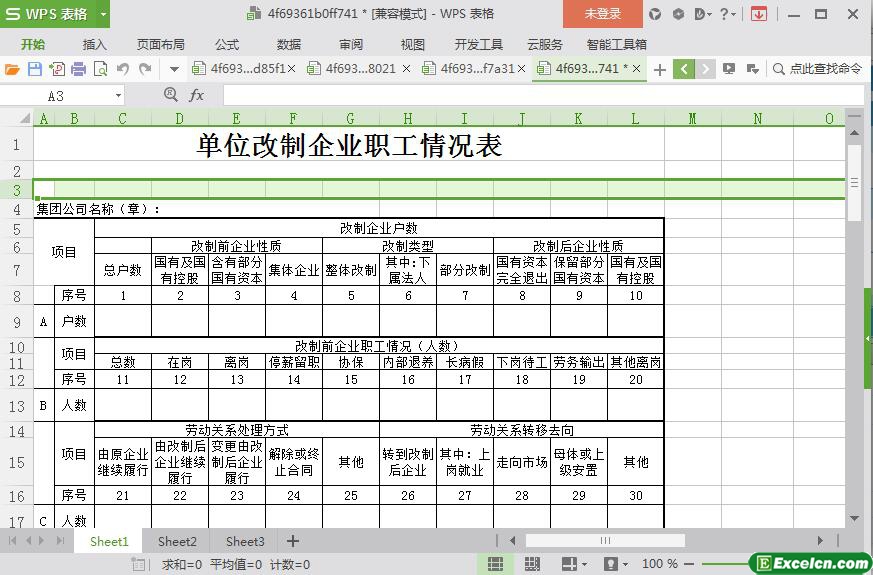 excel单位改制企业职工情况表模板