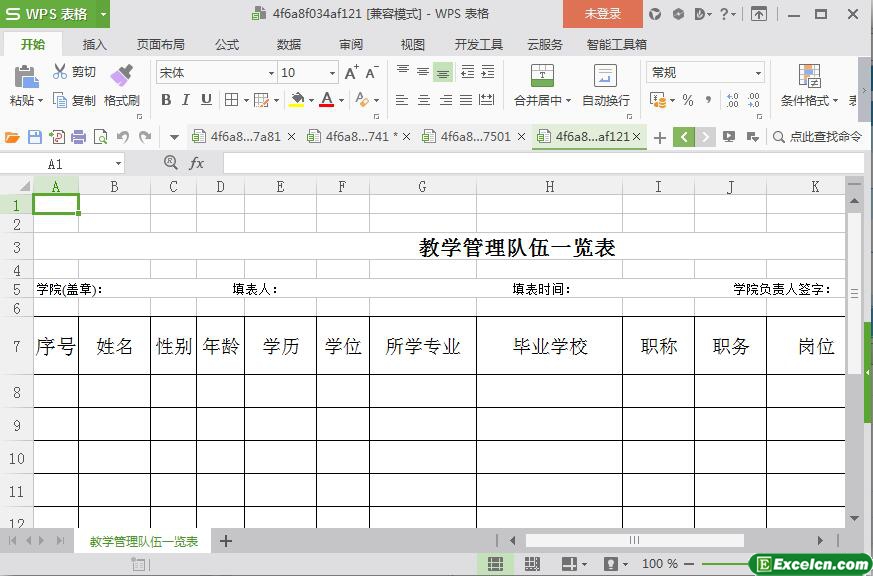 excel学校教学管理队伍一览表模板