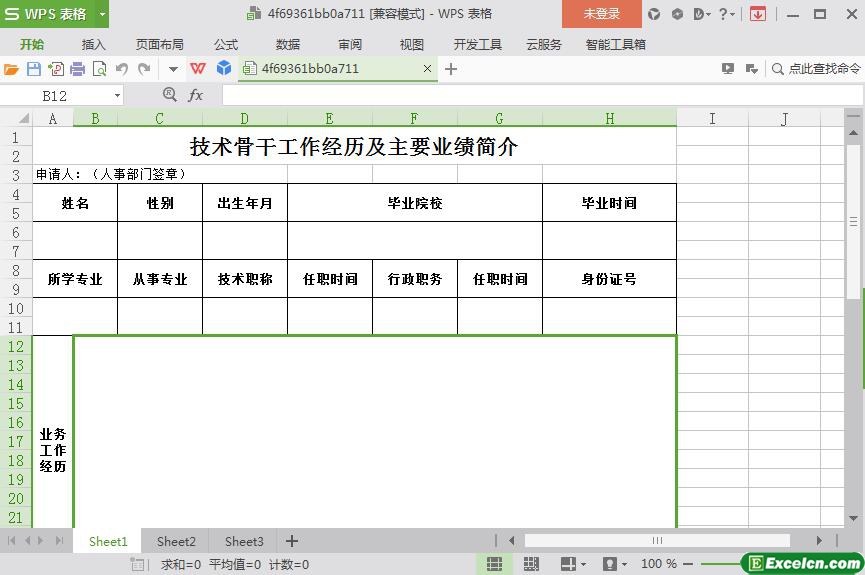 excel技术骨干工作经历及主要业绩简介模板