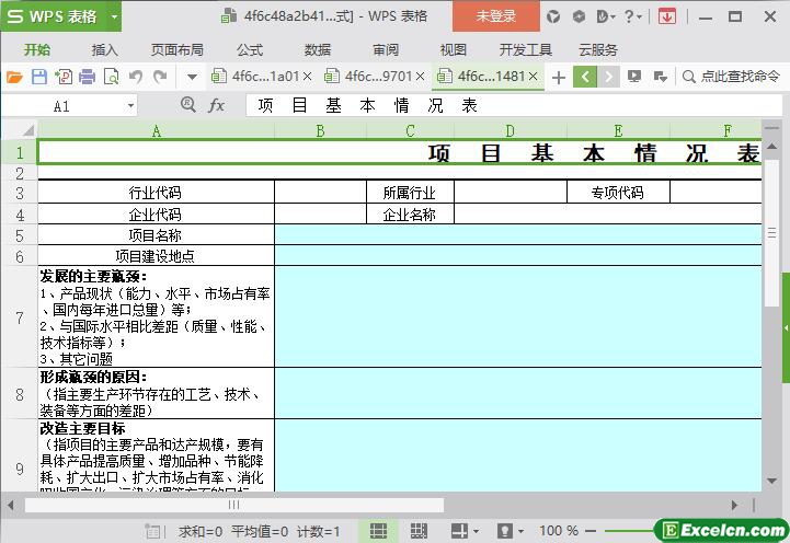 excel重要项目基本情况表模板