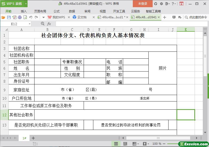 excel社会团体分支、代表机构负责人基本情况表模板