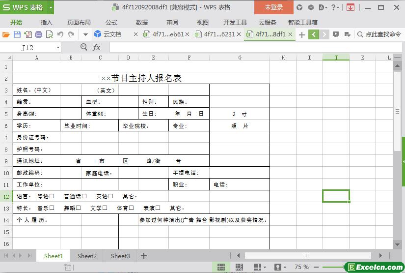 excel节目主持人报名表模板