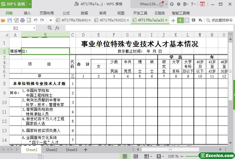 excel事业单位特殊专业技术人才基本情况表模板