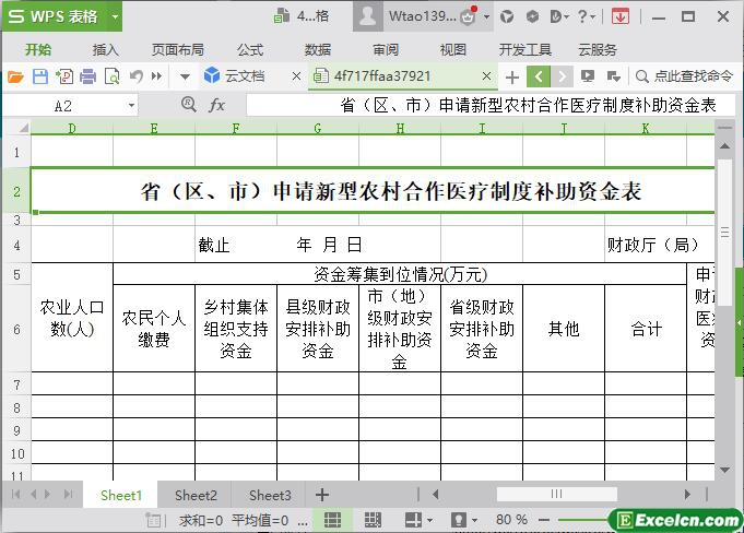 excel新型农村合作医疗补助资金表模板