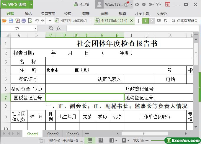 excel社会团体年检报告书模板