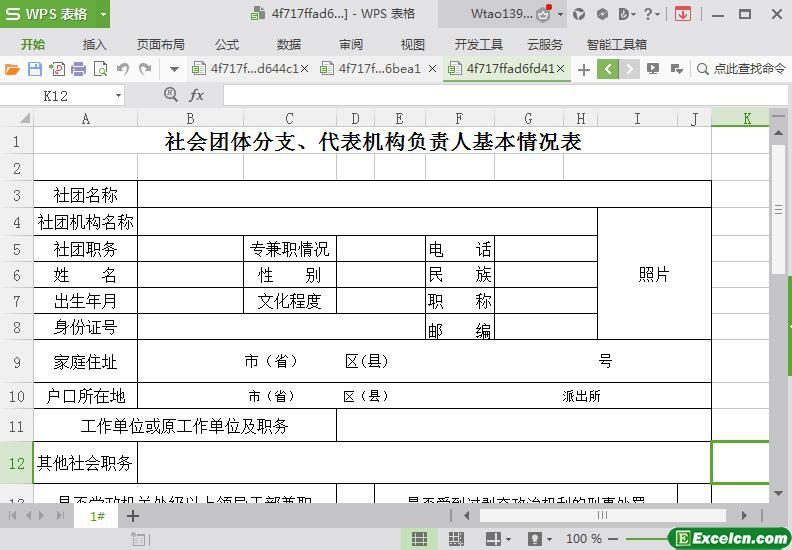 excel社会团体分支代表人档案表模板